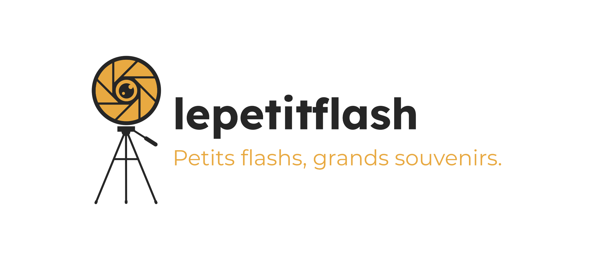 lepetitflash logo